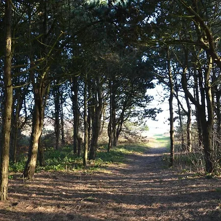 Dorfgrodenblick